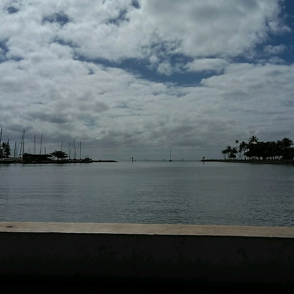 Meet your Posher, Lehua - Picture 1 of 1